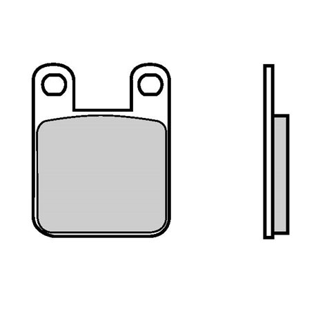 Zadní brzdové destičky Brembo Sherco 50 SM 2002 -  směs TT
