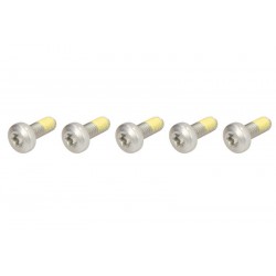 Šrouby předního brzového kotouče TRW / Lucas Harley-Davidson FLHXXX 1690 StreetGlideTrike 2010 - 