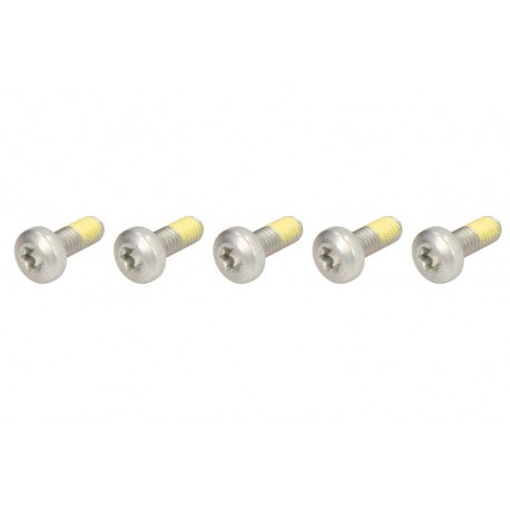 Šrouby předního brzového kotouče TRW / Lucas Harley-Davidson FLHTK 1750 ElectraGlideUltraLimited 2017 - 