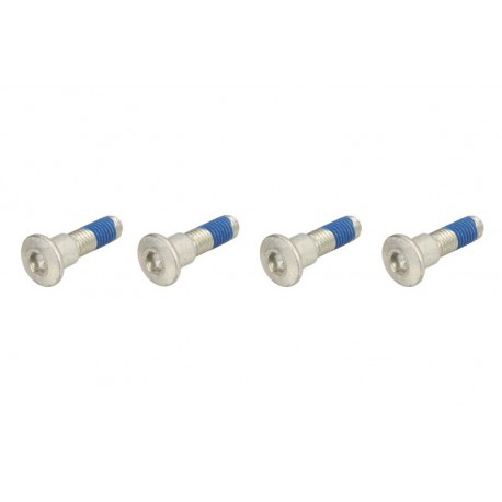 Šrouby zadního brzdového kotouče TRW / Lucas Triumph  955 SprintST 1999 - 2005